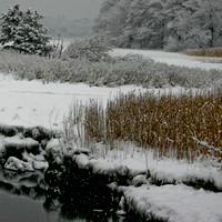 Landscape_Winter